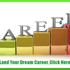 Career